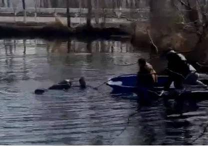 跳入冰冷池塘救人，见义勇为的“二舅”获奖励