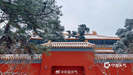 银装素裹在故宫具象化了