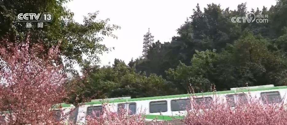 春天里的中国 | 春色旖旎醉游人 大美山河绘就多彩画卷