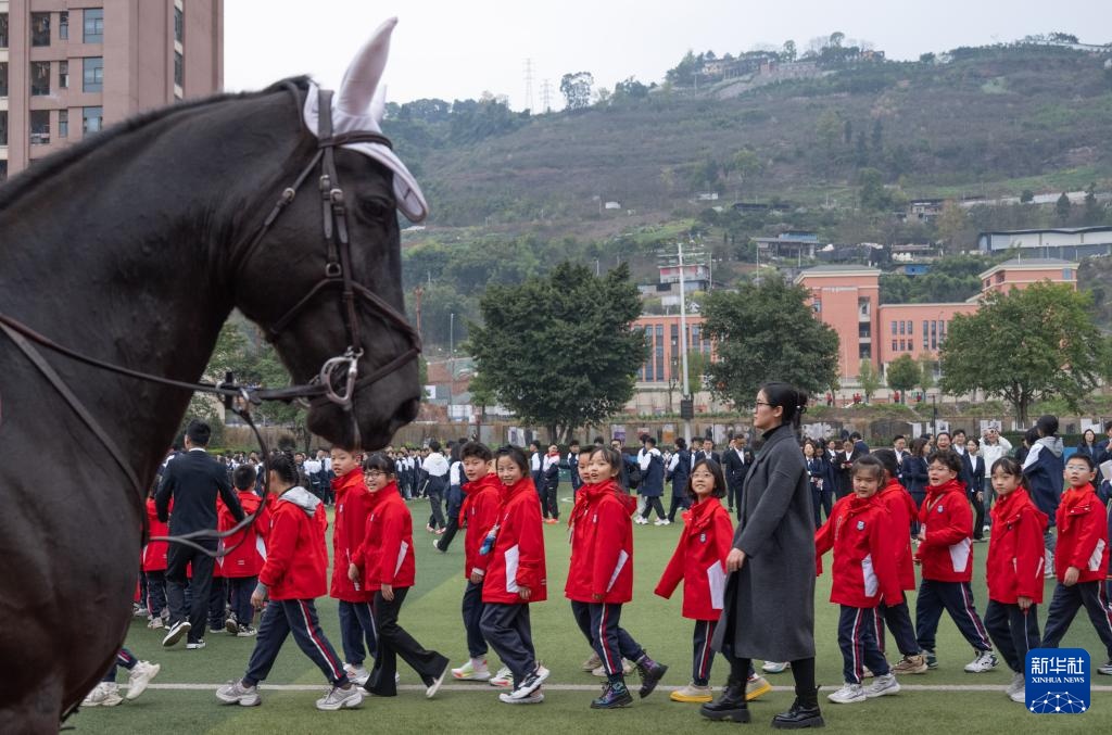 重庆：马年开学首日 &nbsp;骏马助阵开学仪式