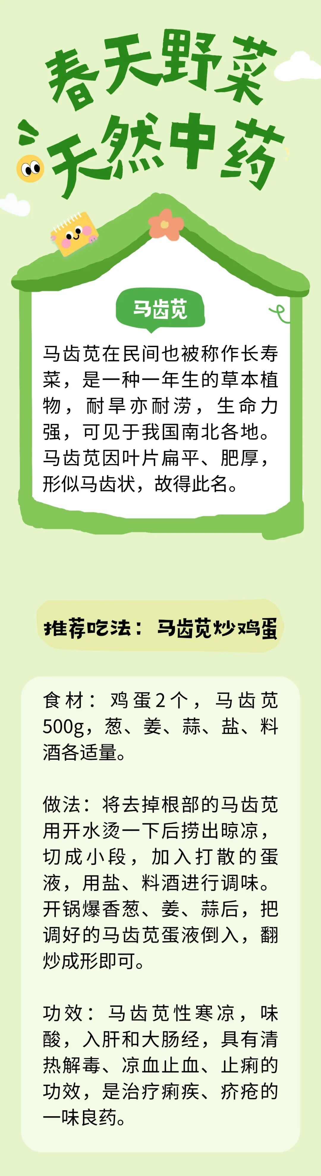 别把野菜当野草!春天吃它,等于在吃“天然中药”~ 别把野菜当野草!春天吃它,等于在吃“天然中药”~