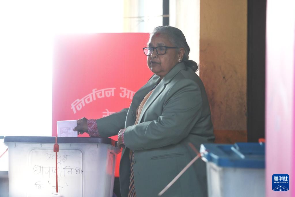 尼泊尔众议院选举投票开始