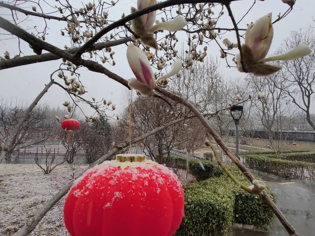 3月初的雪为何这么大？近期还有吗？市气象台分析——