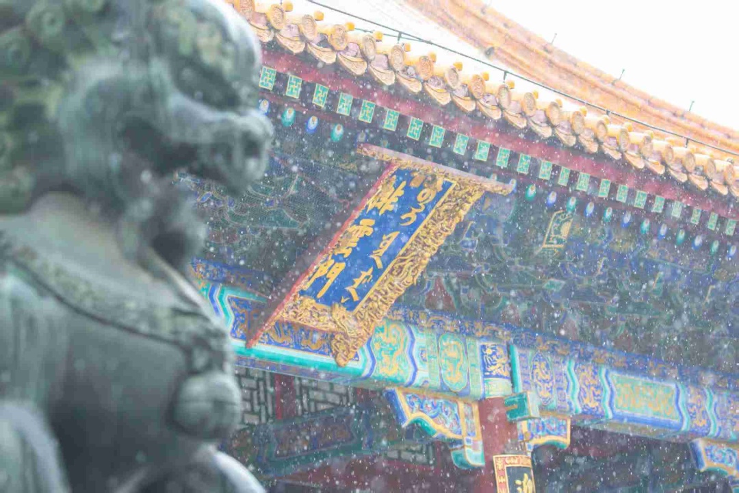 3月初的雪为何这么大？近期还有吗？市气象台分析——