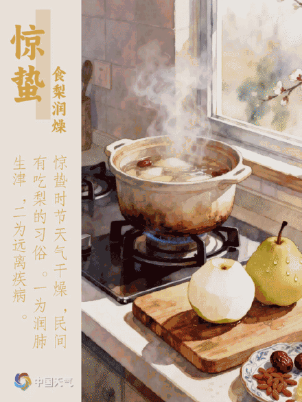 今日惊蛰 | 惊雷启蛰 时雨润春