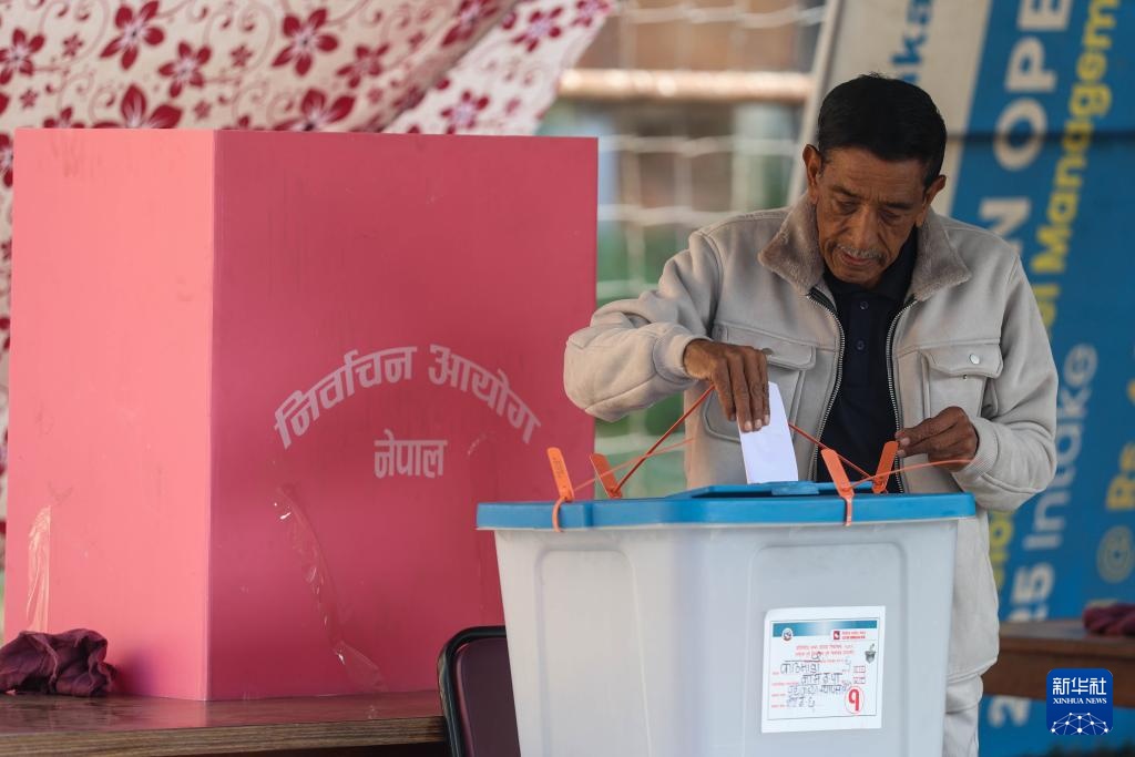尼泊尔众议院选举投票开始