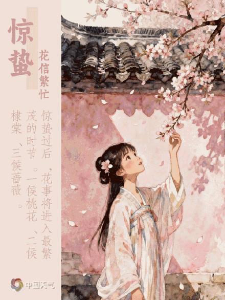 今日惊蛰 | 惊雷启蛰 时雨润春