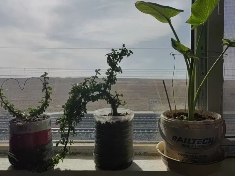 这座车站全国闻名！却只有一个人