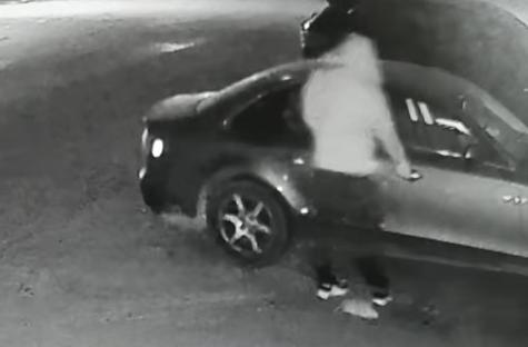 凌晨2点！事发聊城某商业街，薛某已被刑拘！