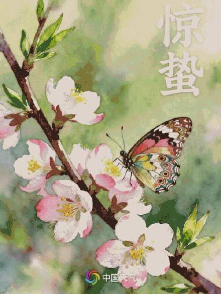 今日惊蛰 | 惊雷启蛰 时雨润春