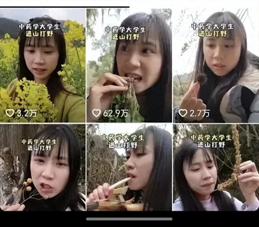 湖南中药学女大学生上山尝“百草”走红！网友担忧安全问题，本人回应：能准确识别毒性