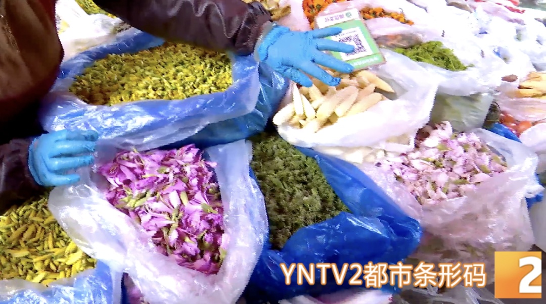 “吃花”季到来，省外游客打飞的到昆明，只为这口鲜！