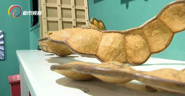 火出圈的“显眼包”、“云南特产” 可以带上飞机！但是要注意有毒！千万别误食