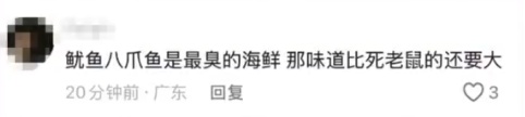 网友购买的八爪鱼钻进车内3天，找到后"鱼腥味差点把师傅熏吐"