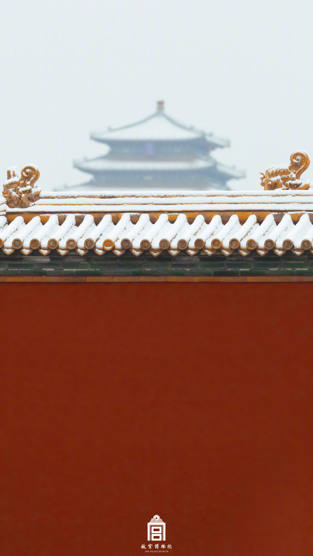 中式美学！故宫遇上春雪的氛围感
