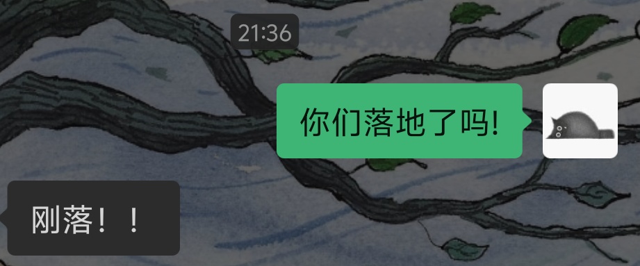 花36万元囤12张机票的母女回上海了！国航、东航、南航通知️→