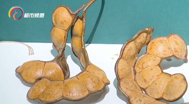 火出圈的“显眼包”、“云南特产” 可以带上飞机！但是要注意有毒！千万别误食