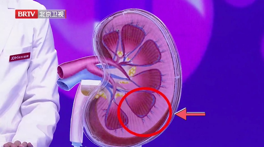 每天半小时，女子肾破了！身体这些“禁区”别乱碰