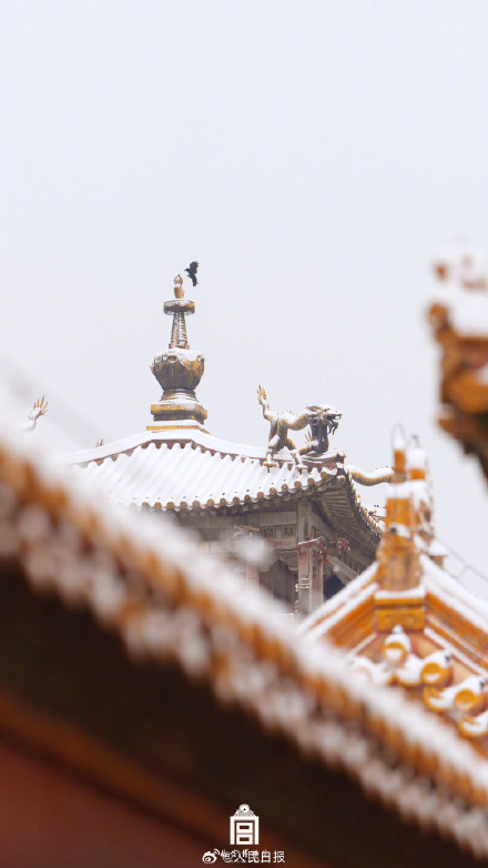 中式美学！故宫遇上春雪的氛围感