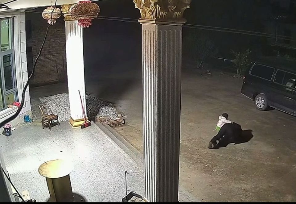 太爷爷摔倒，1岁5个月宝宝跌跌撞撞爬下楼梯去扶！妈妈：她自己都还不会走