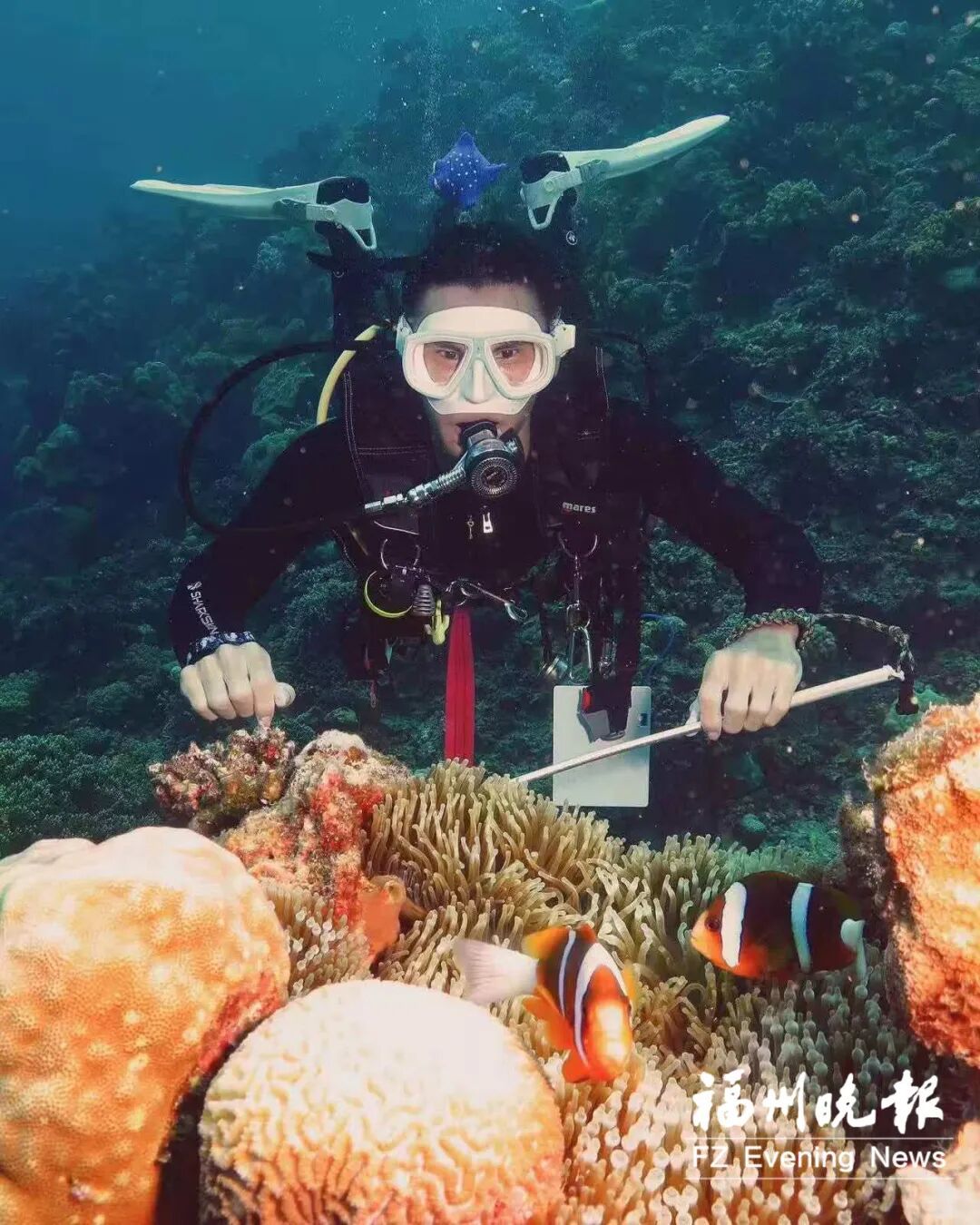 福建首例外籍人士捐献器官！马来西亚华裔青年离世，器官救助5人！