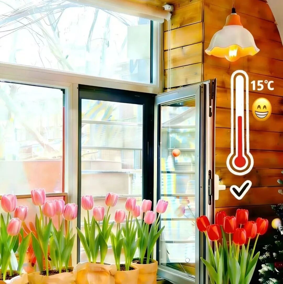 早春家庭植物养护，抓准这3个关键→