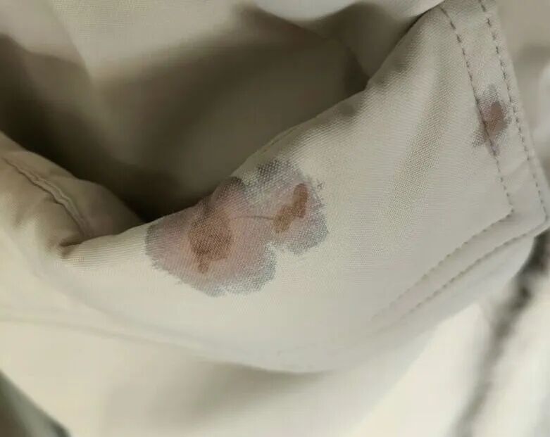 别踩！别碰！街头正大量出现这种黑色果子