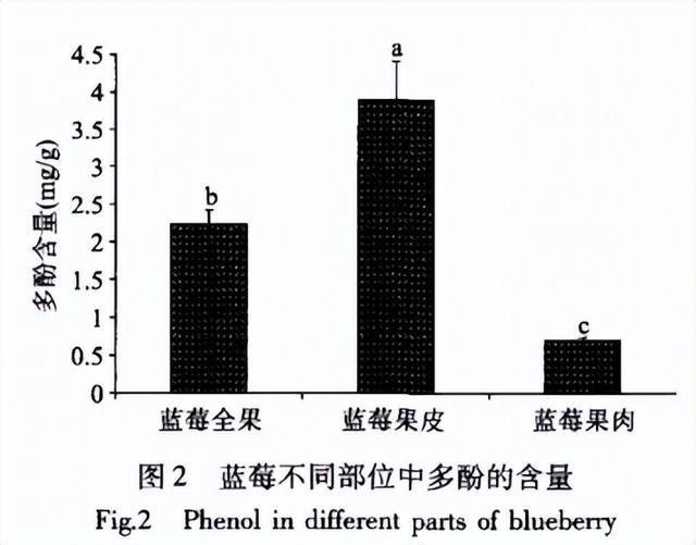 冷知识：真的不建议大家买超大蓝莓