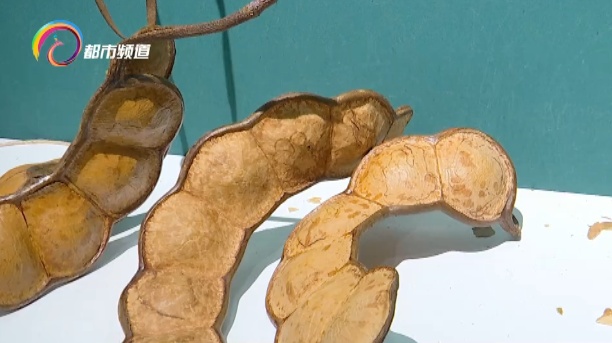 火出圈的“显眼包”、“云南特产” 可以带上飞机！但是要注意有毒！千万别误食