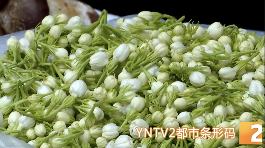 “吃花”季到来，省外游客打飞的到昆明，只为这口鲜！