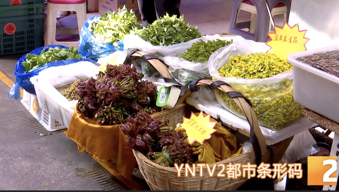 “吃花”季到来，省外游客打飞的到昆明，只为这口鲜！