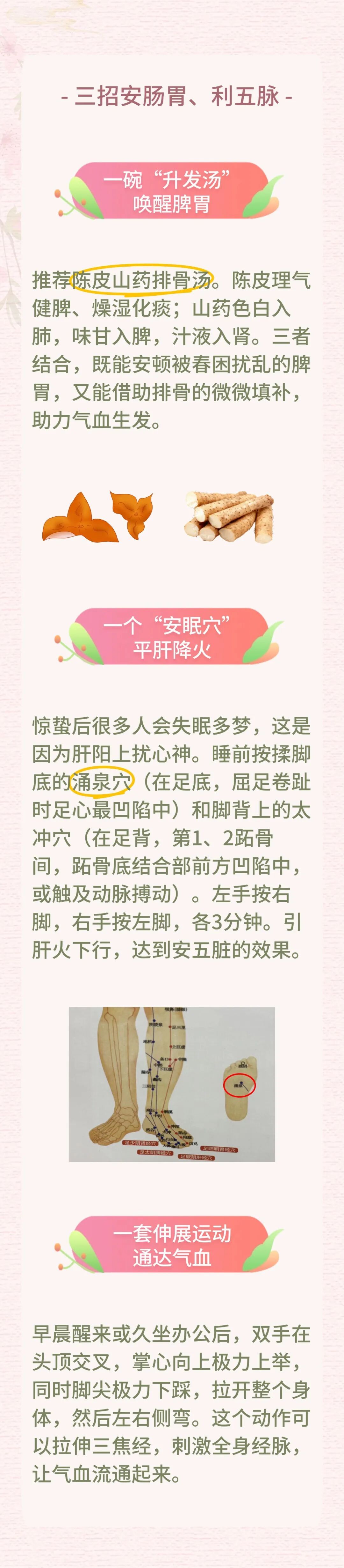 春气萌动惊蛰至，顺应“发陈”是关键：养好肠胃通五脉，一春少生病~