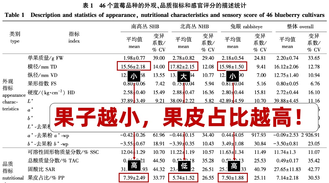 蓝莓不是越大越好 4个技巧教你选出好蓝莓→