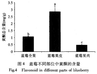 蓝莓不是越大越好 4个技巧教你选出好蓝莓→