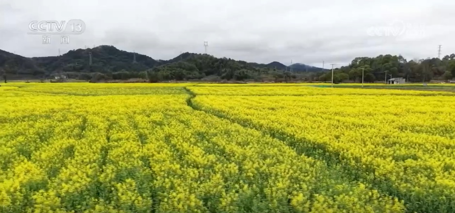 希望的田野奏响春耕备耕“奋进曲” 科技赋能助稳产增收