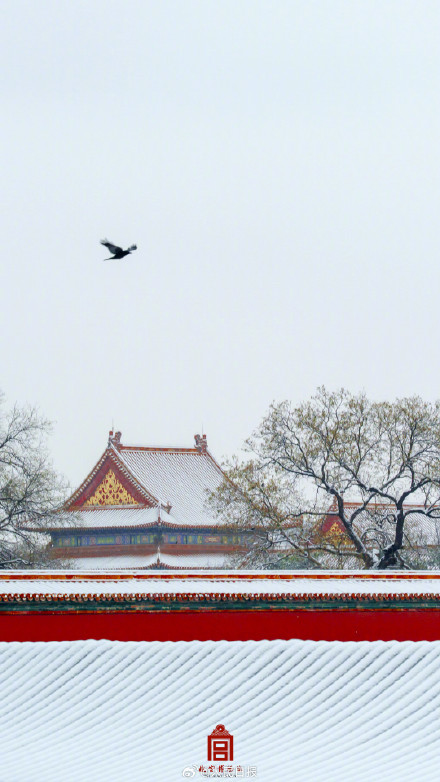 中式美学！故宫遇上春雪的氛围感