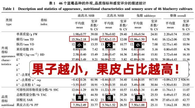 冷知识：真的不建议大家买超大蓝莓