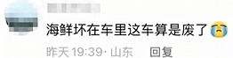 网友购买的八爪鱼钻进车内3天，找到后"鱼腥味差点把师傅熏吐"