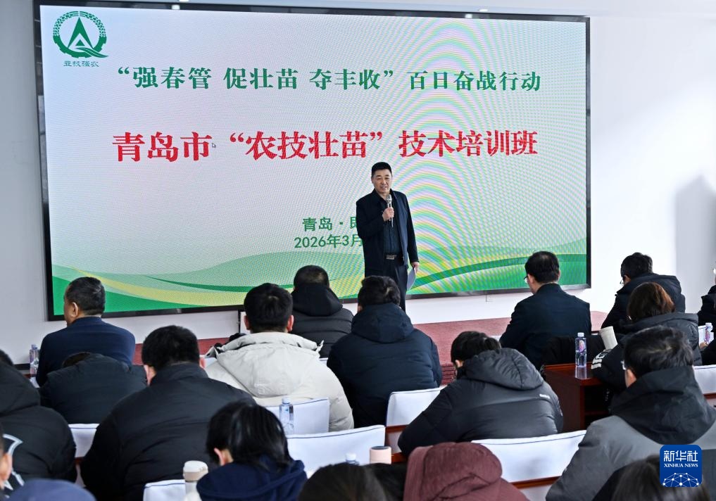 夯实春季田管 确保小麦丰收