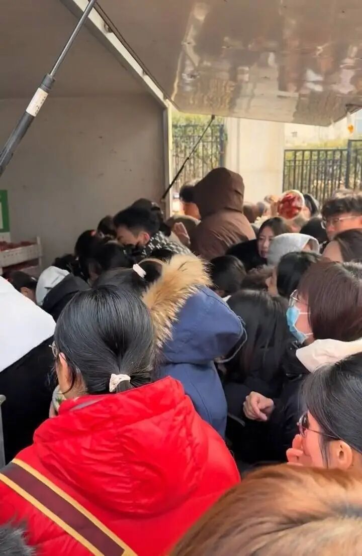 200盆草莓5分钟被抢光！济南“草莓阿姨”：老顾客没买到，有点过意不去