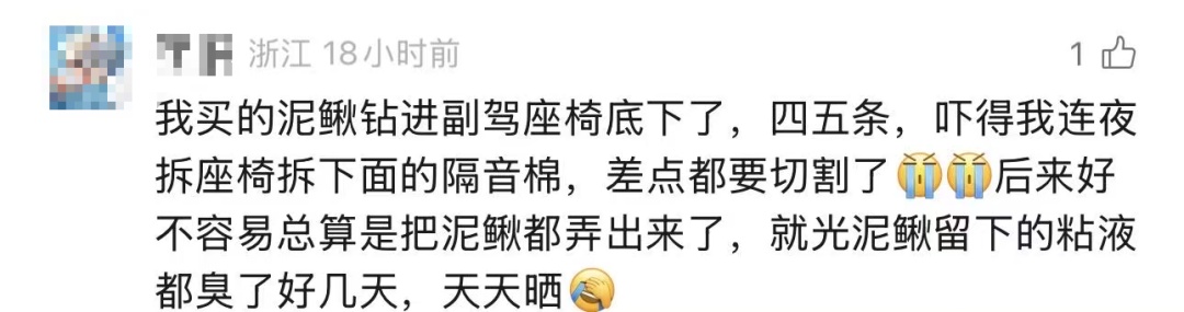 网友购买的八爪鱼钻进车内3天，找到后"鱼腥味差点把师傅熏吐"