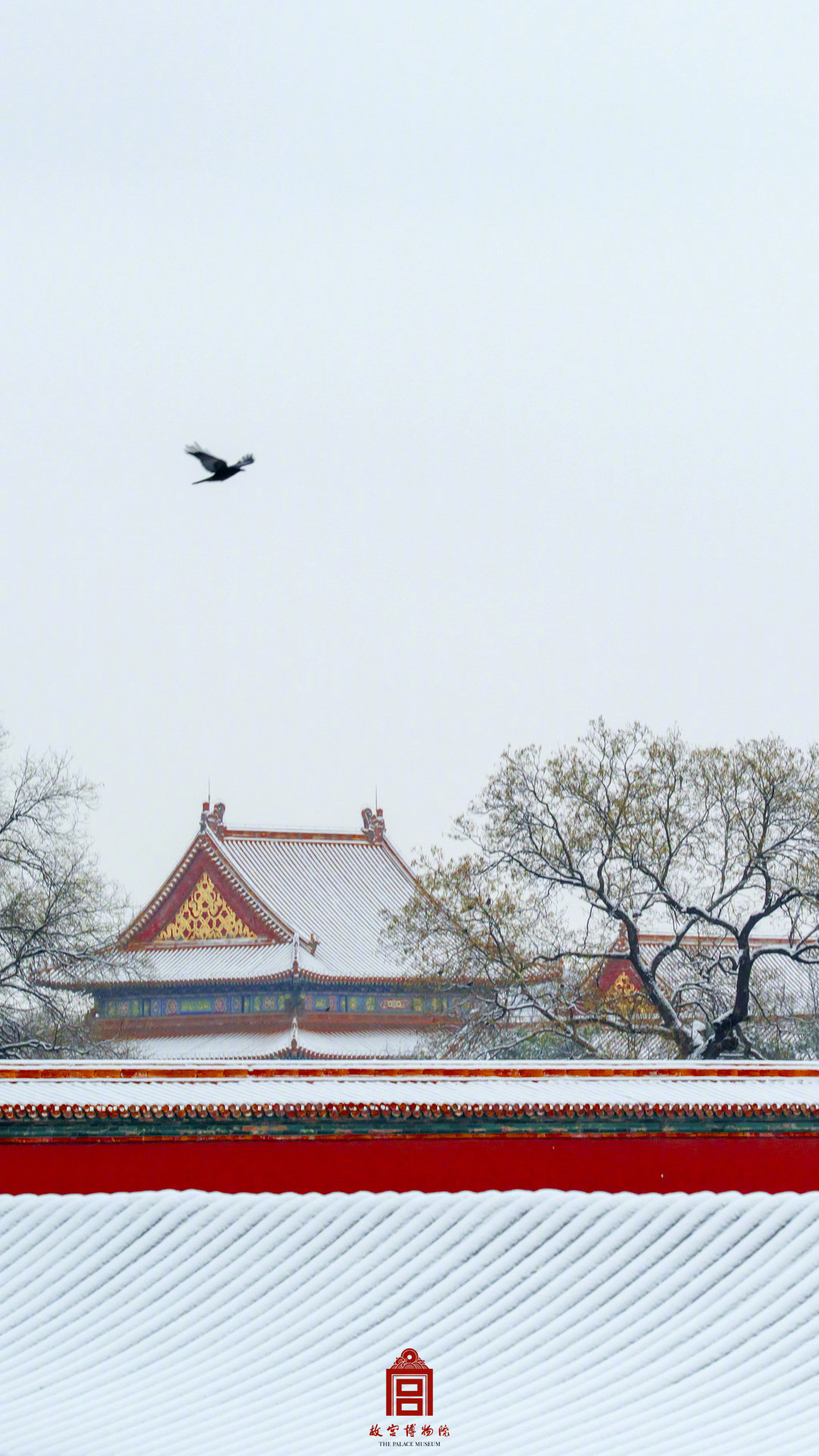 中式美学！故宫遇上春雪的氛围感