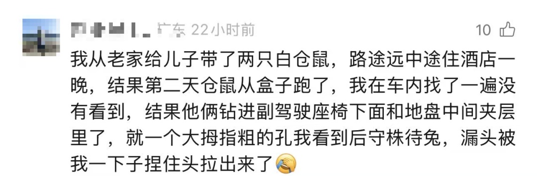 网友购买的八爪鱼钻进车内3天，找到后"鱼腥味差点把师傅熏吐"