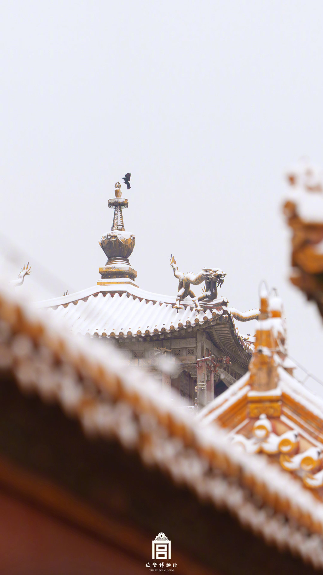 中式美学！故宫遇上春雪的氛围感