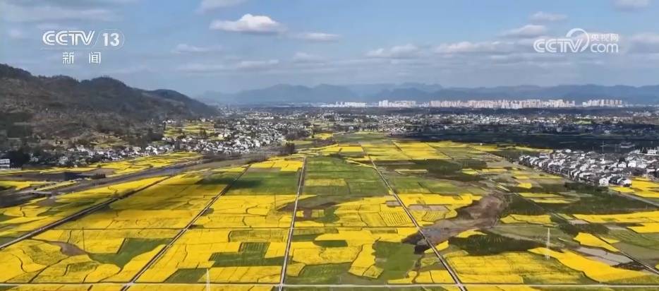 希望的田野奏响春耕备耕“奋进曲” 科技赋能助稳产增收
