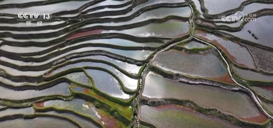 希望的田野奏响春耕备耕“奋进曲” 科技赋能助稳产增收