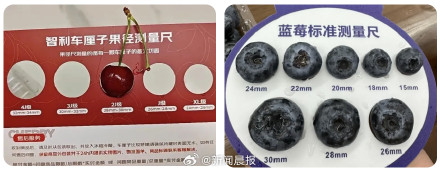 为什么不建议你买超大蓝莓