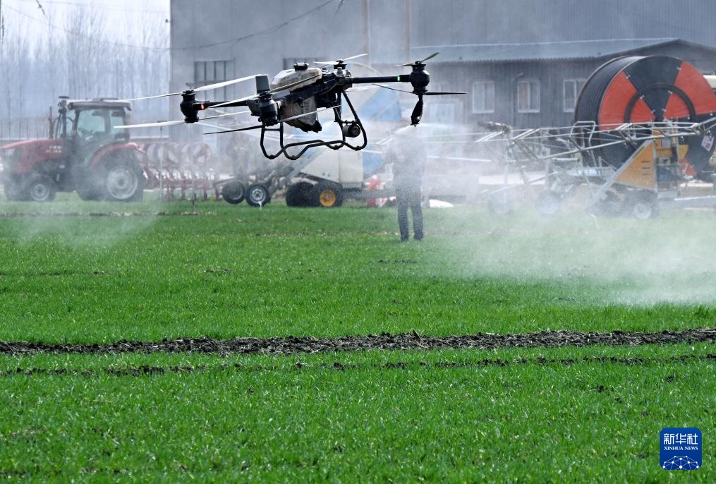 夯实春季田管 确保小麦丰收