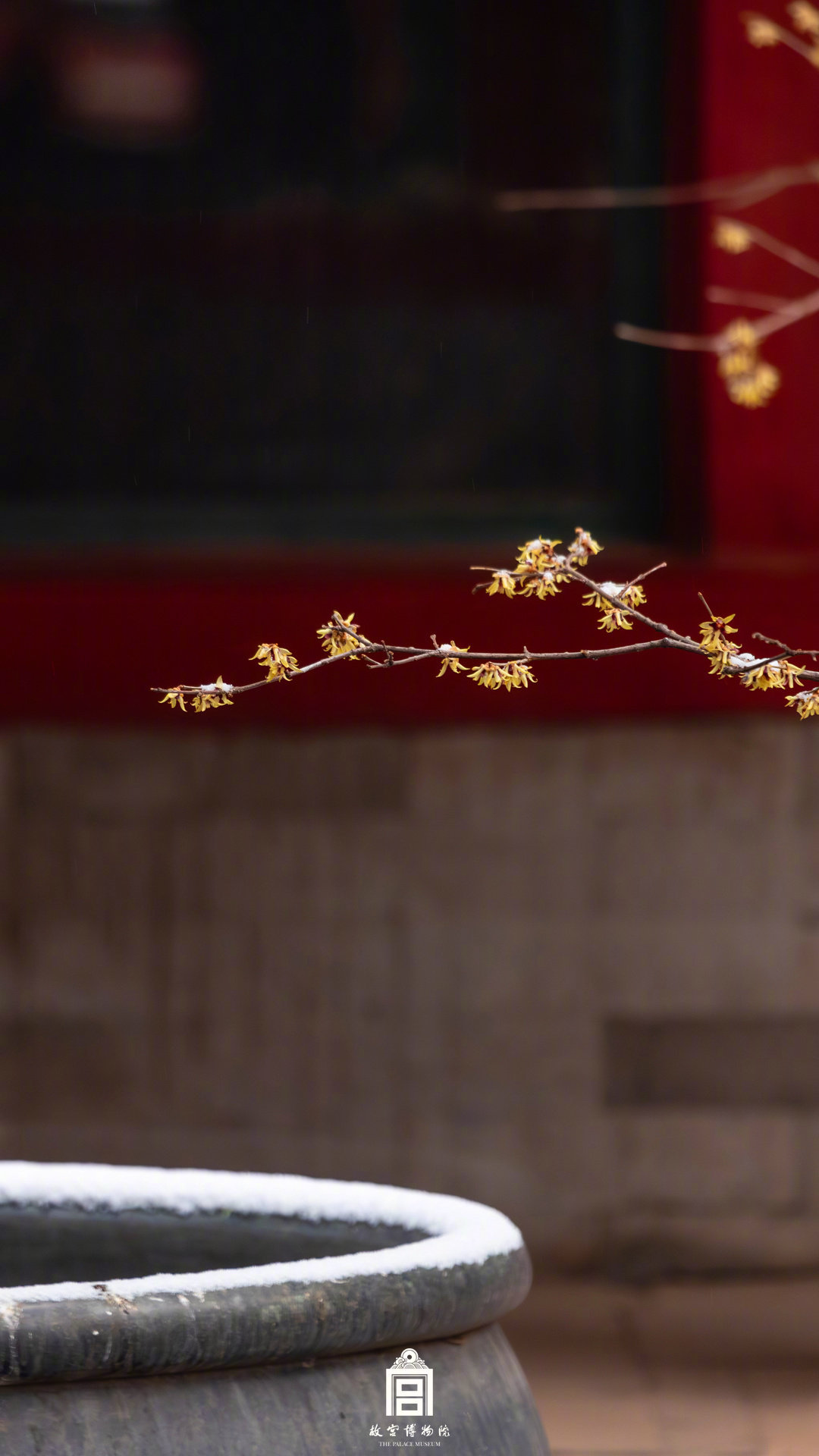 中式美学！故宫遇上春雪的氛围感