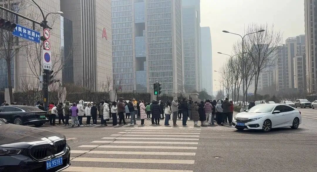 200盆草莓5分钟被抢光！济南“草莓阿姨”：老顾客没买到，有点过意不去